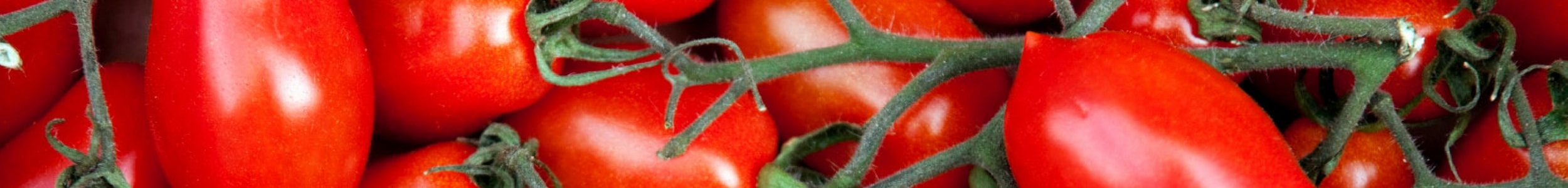 Provincia di Bolzano - Investimenti nelle Imprese di trasformazione e di commercializzazione dei prodotti agricoli