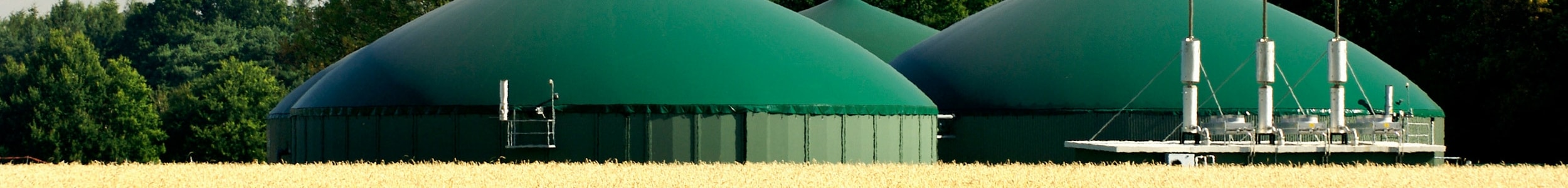 Provincia Autonoma di Bolzano - Incentivi per impianti biogas   