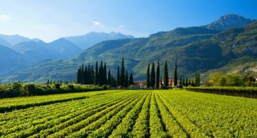 Provincia Autonoma di Bolzano - Contributi per le Aziende Agricole