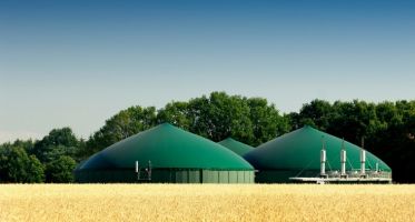 Provincia Autonoma di Bolzano - Incentivi per impianti biogas   